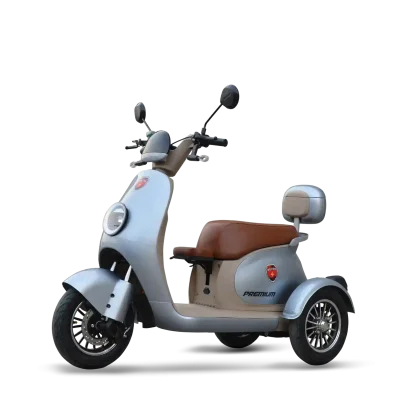 Metro E-Vehicles Premium